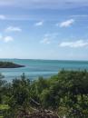 Staniel Cay - Big Majors: Looking out to the water from Staniel Cay